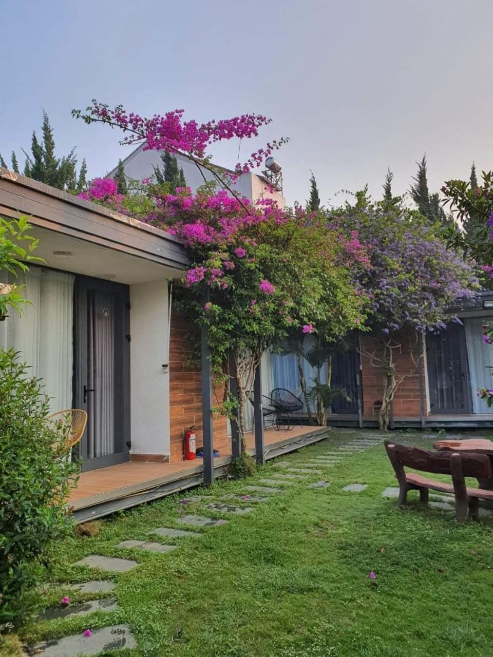 Perfect Homestay 大叻 外观 照片